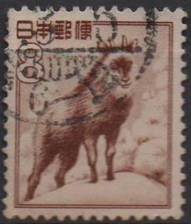 Serow Japones