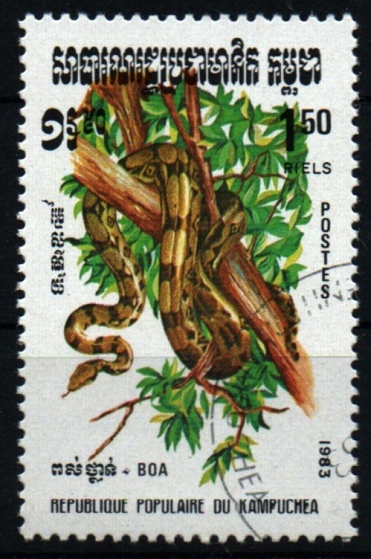 serie- Reptiles