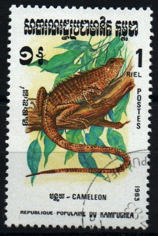 serie- Reptiles