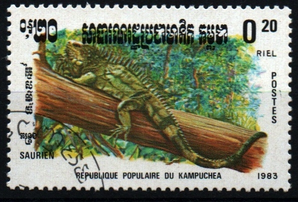 serie- Reptiles
