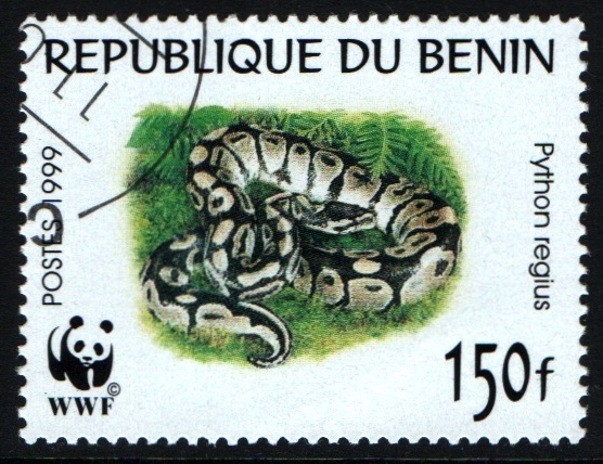 WWF