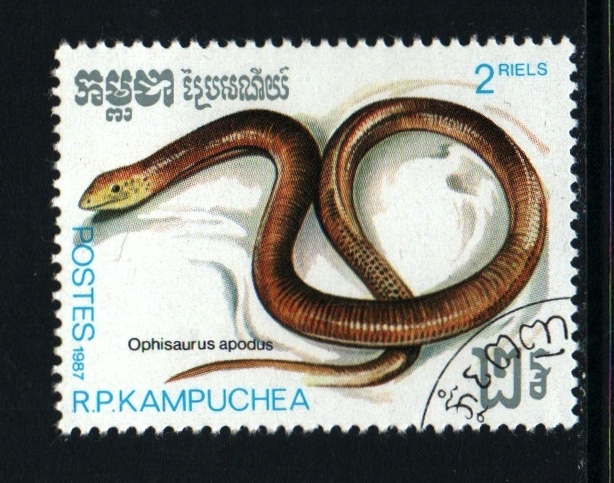 serie- Reptiles