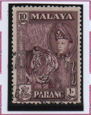 Sultan  y Tigre