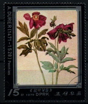 serie- Pinturas A. Durero- Peonias