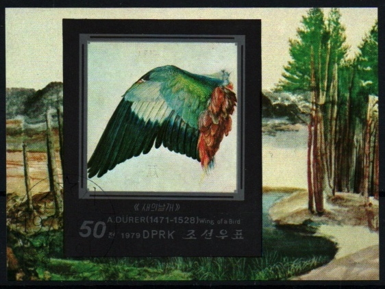 Pinturas A. Durero- Ala de pájaro