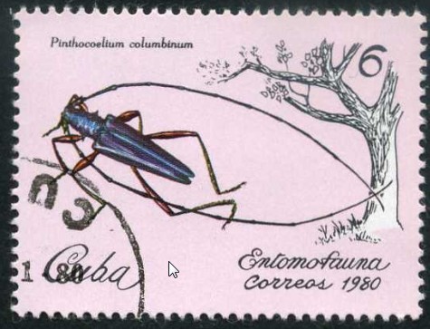 Insectos