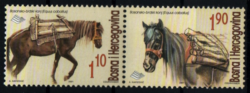 Caballos de carga