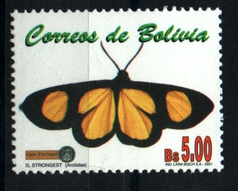 serie- Mariposas