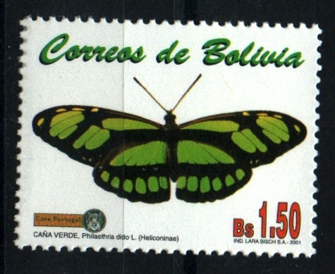 serie- Mariposas