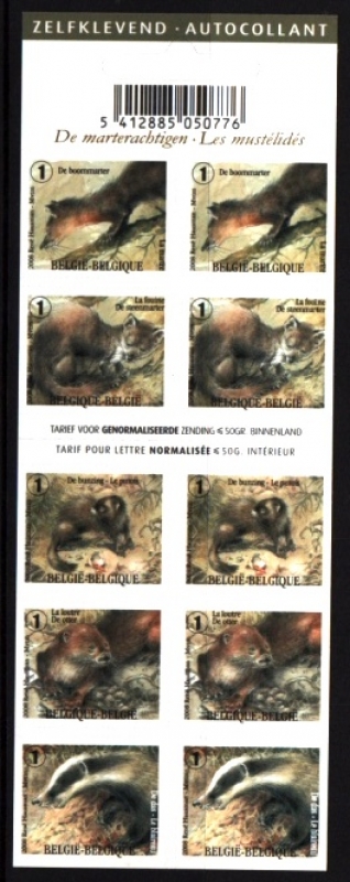 Mustelidos