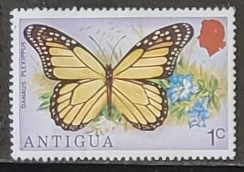 Mariposas -Danaus plexippus