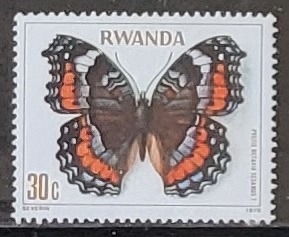Mariposas - Precis octavia)