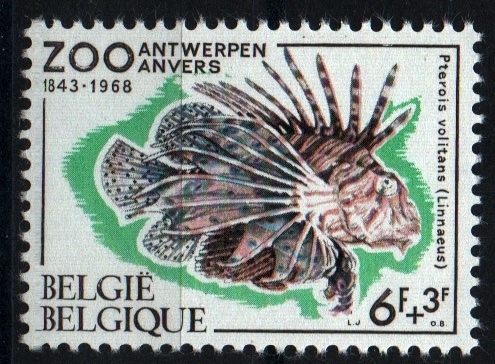 125 aniv. Zoo Anvers