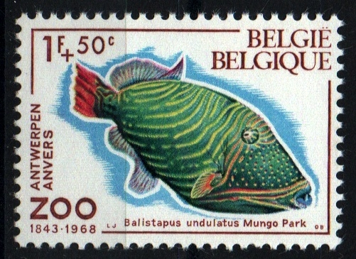 125 aniv. Zoo Anvers