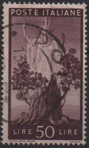 Árbol en Flor y en Italia