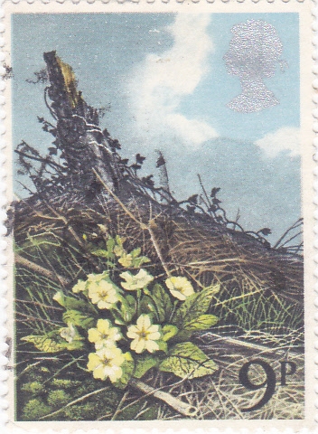 FLORES