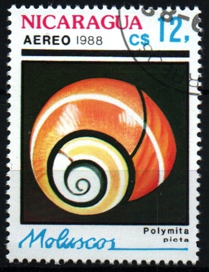 serie- Moluscos