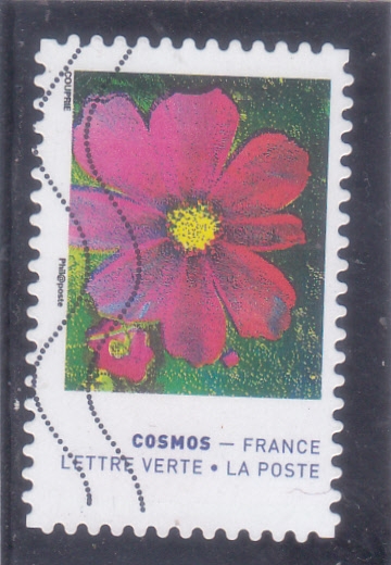 FLORES