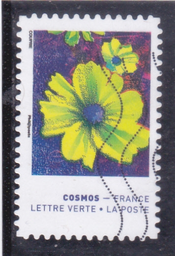 FLORES