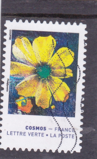 FLORES