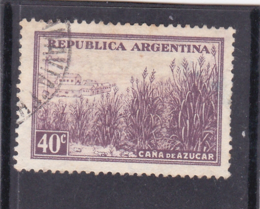 caña de azucar