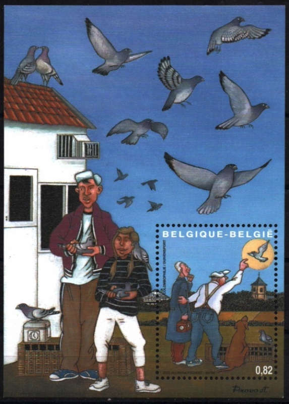 Deportes- Carreras de palomas