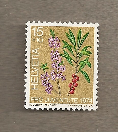Pro juventute 1974