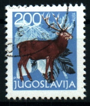 serie- Fauna y flora