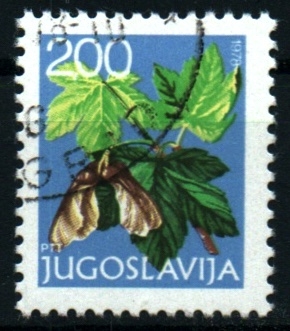 serie- Fauna y flora