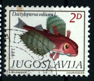 serie- Fauna Mediterráneo