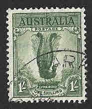 141 - Lira Soberbia