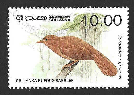 839 - Turdóide Cingalés