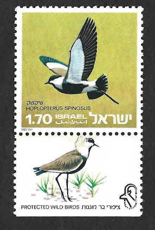 578T - Avefría