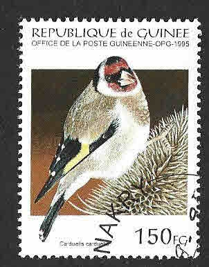 1268 - Jilguero Europeo