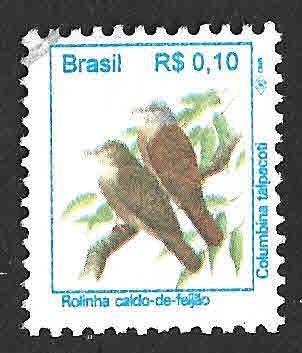 2446 - Tortolita