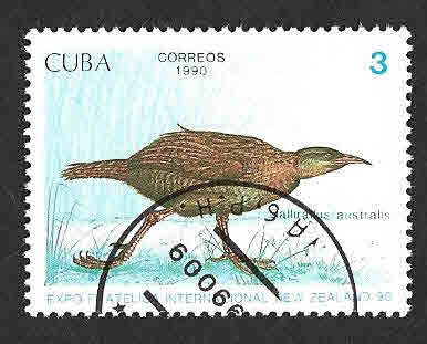 3242 - Rascón Weka