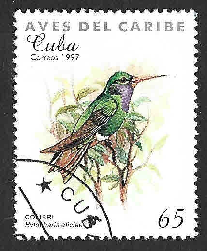 3853 - Colibrí