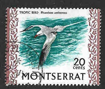 238 - Rabijunco Et?reo (ISLA DE MONTSERRAT)