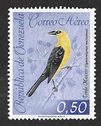 C815 - Chango Oriolino​