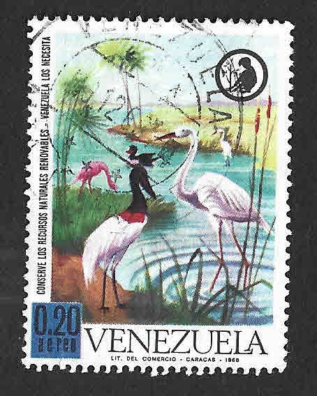 C1001 - Aves