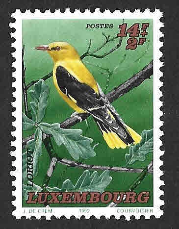 B384 - Oropéndola Europea