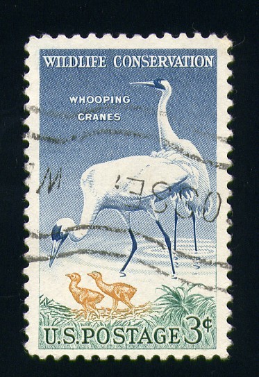 Conservación de la Naturaleza