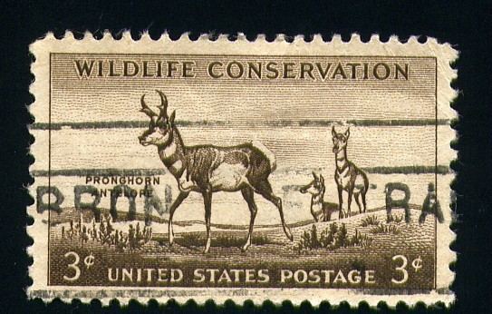 Conservación de la Naturaleza