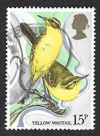 887 - Lavandera Boyera