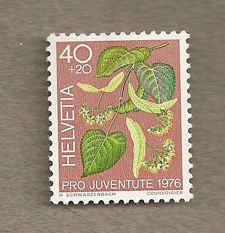 Pro Juventute