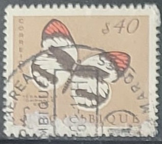 Mariposas - Teracolus omphale