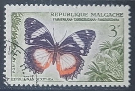 Mariposas - Hypolimnas dexithea