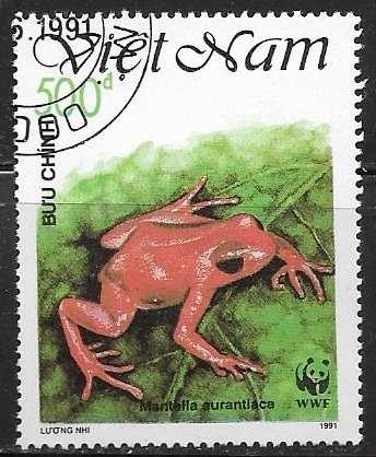 Animales - Mantella aurantiaca