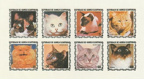 Gatos