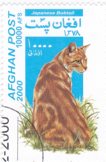 GATO